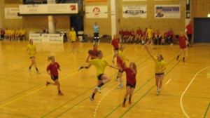 Kredsstævne 2012